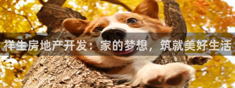 永利骗局