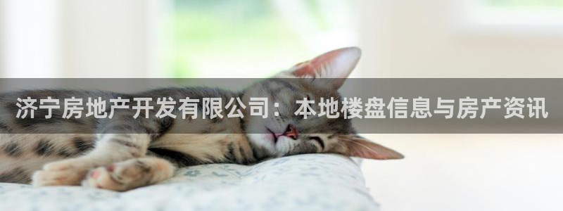 永利传送带业务