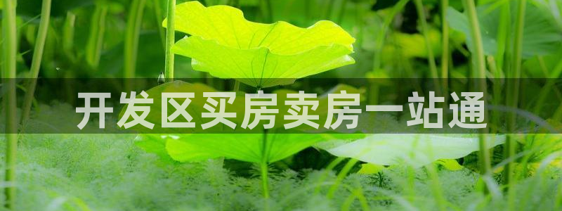 永利正版