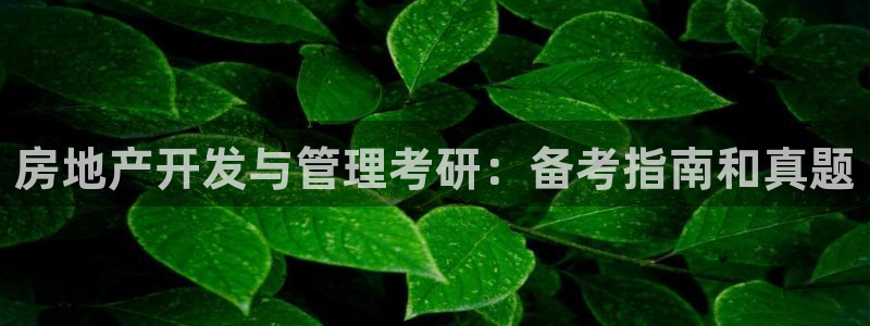 永利官网总站入口