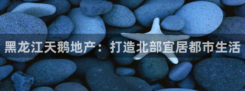 永利集团董事长简历