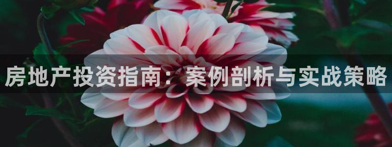 永利房地产有限公司