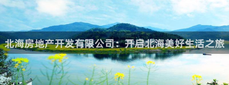 永利现场
