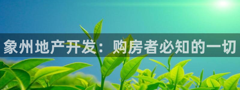永利骗局
