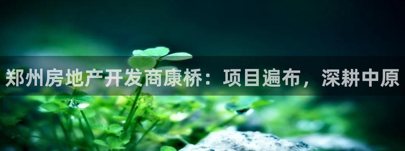 永利饭店老板是谁
