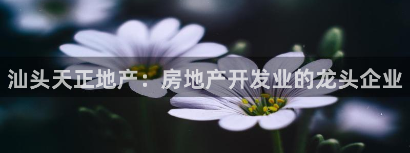 永利打不开