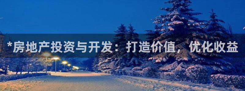 永利带业集团2020年的业绩状况