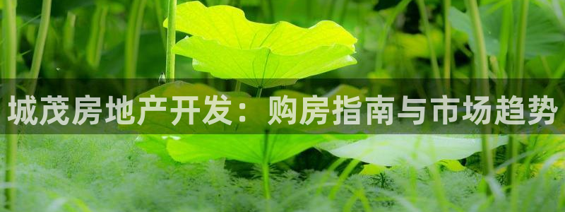 永利积分卡怎么算的