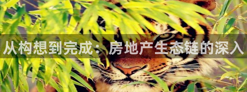 永利输送带