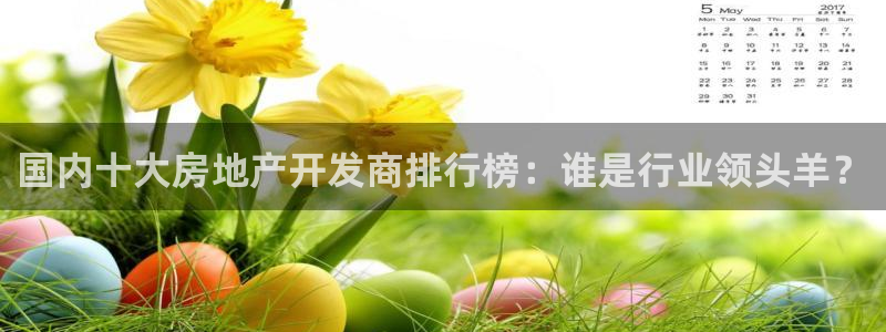 苏州金沙永利怎么样
