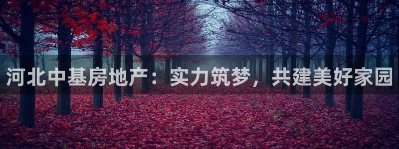 永利能源开发有限公司