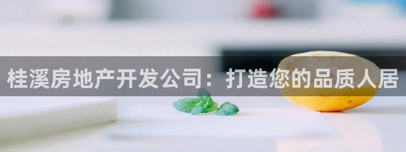 永利金控控股有限公司