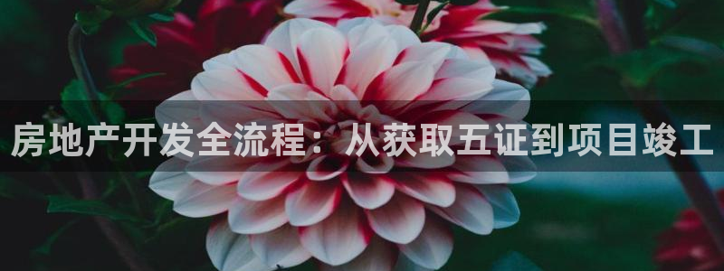 永利置业