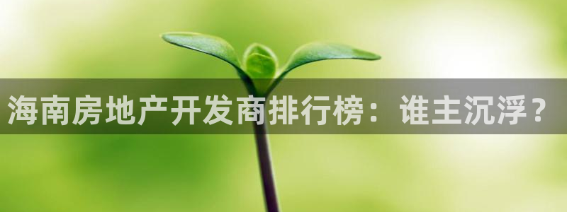 永利网是干什么的,能挣到钱吗?
