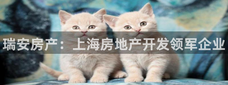 永利服饰有限公司