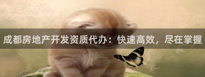 永利皮带官网价格查询表