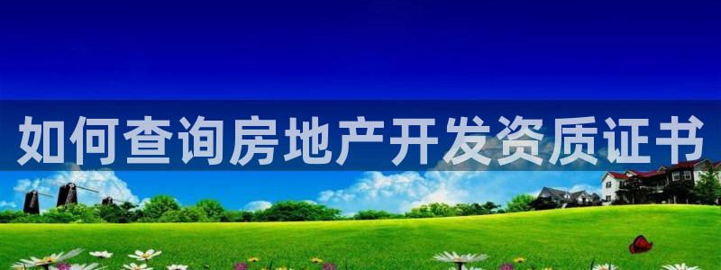 滨州永利篮球俱乐部老板