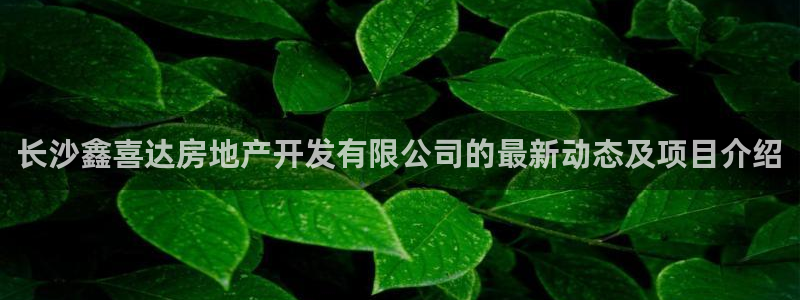 滨州市永利汽车销售服务有限公司