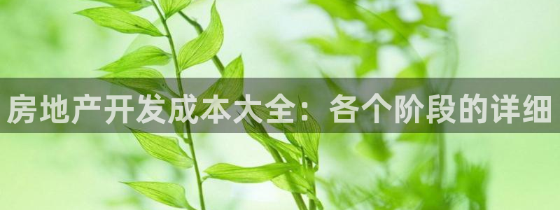 永利建筑工程有限公司