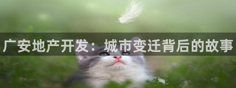 永利金控