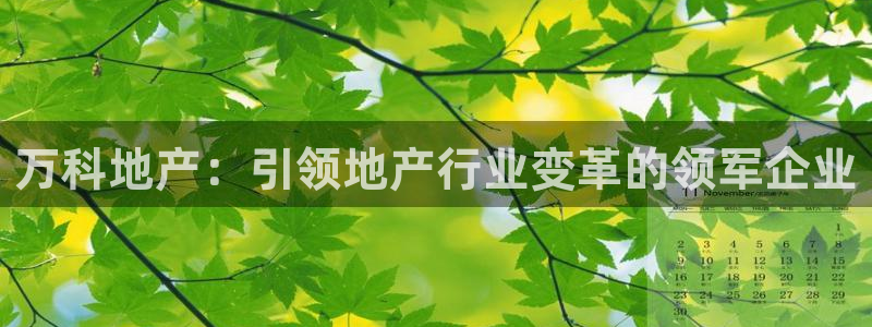 永利皮革有限公司