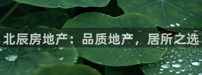 永利官网