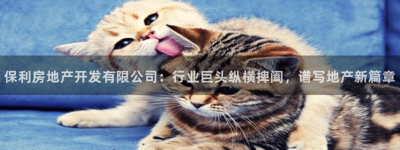 永利建筑工程有限公司董事长