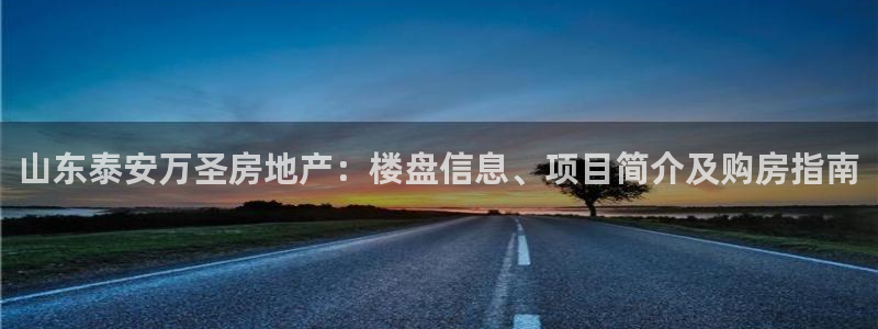 鄂尔多斯永利煤矿老板