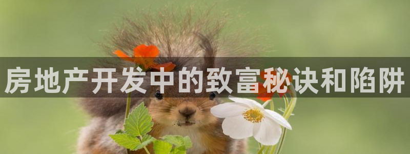 永利酒店官网