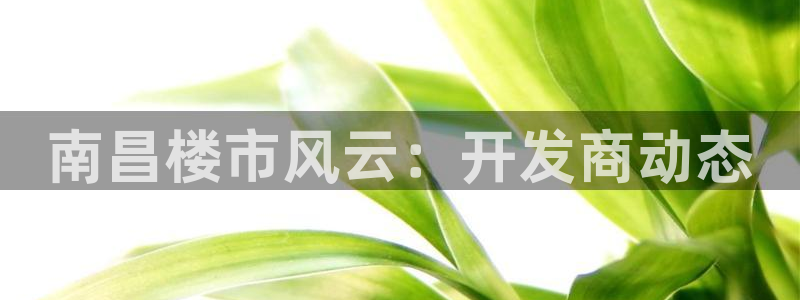 永利地产