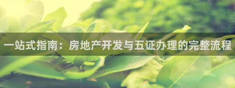 永利金文化有限公司