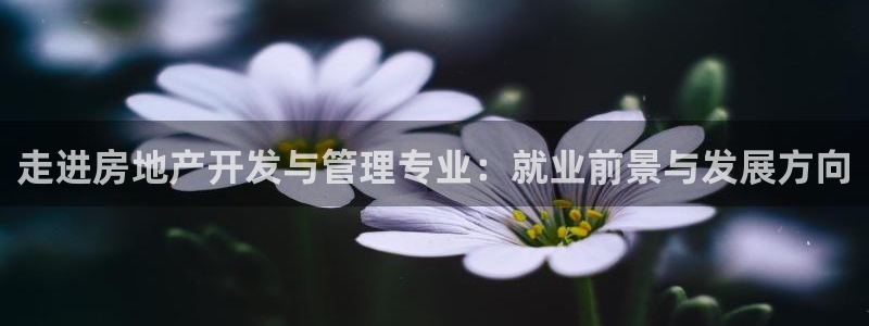 永利购物中心拆迁