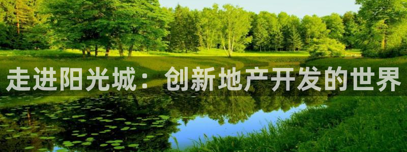 永利酒店有几家