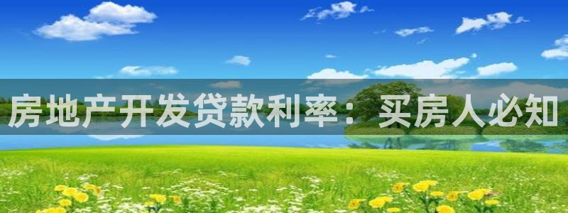 永利传送带业务