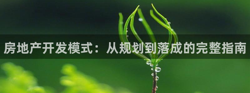 永利皮带官网价格查询