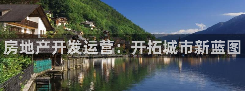 永利黄府黄立青信鸽图片