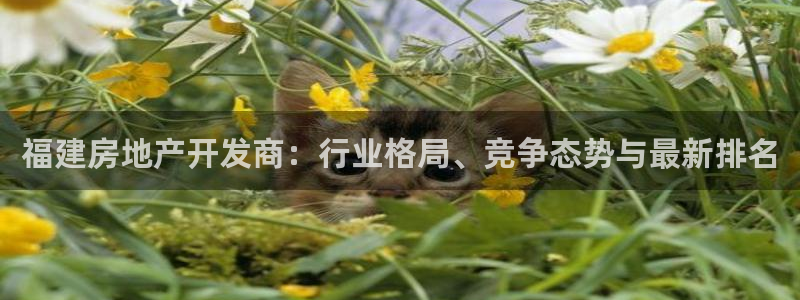 永利表行的手表是正品吗