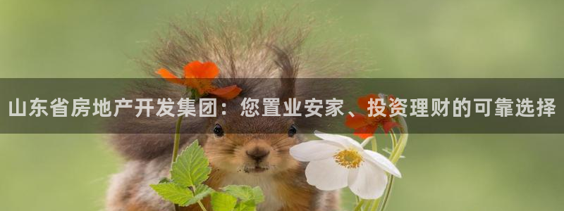 永利来织带厂