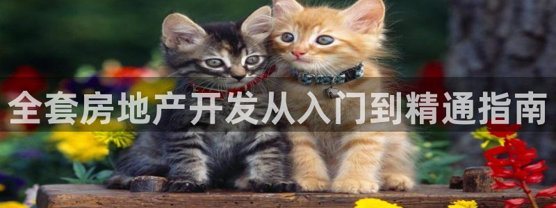 永利股份公司