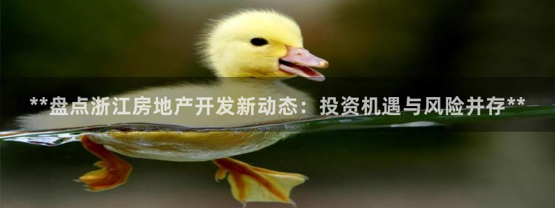 永利制带有限公司