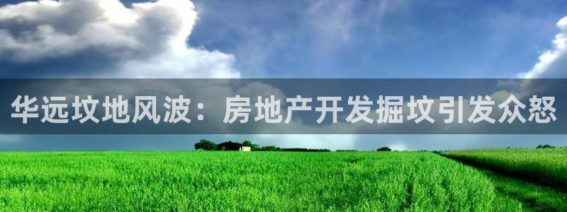 苏州金沙永利怎么样