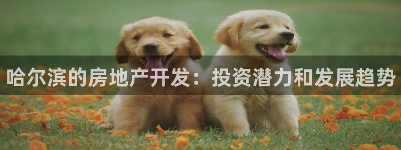永利厂牌