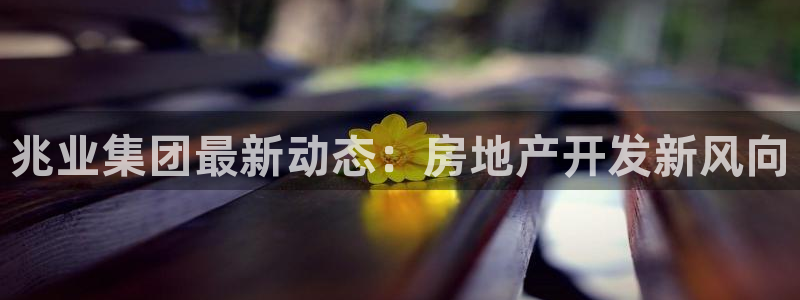 永利皮革有限公司地址