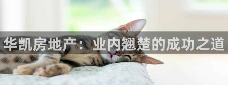 滨州永利盐业