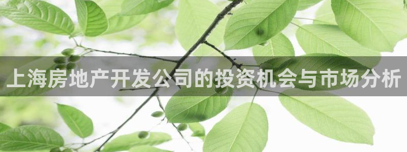 佛山王永利工业皮带有限公司