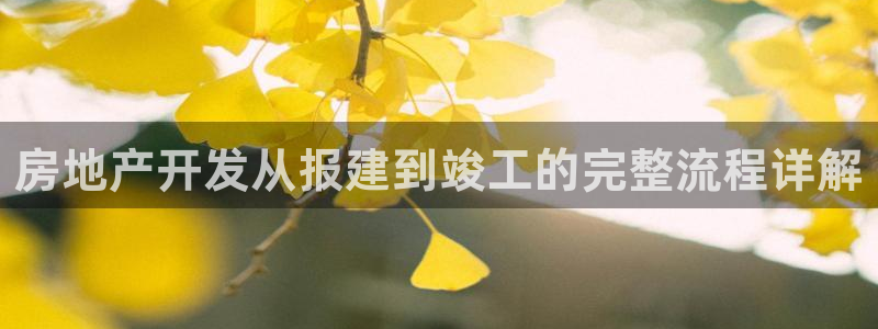 永利网是干什么的,能挣到钱吗安全吗