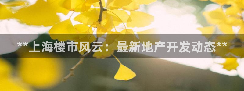 佛山永利批发市场在哪里