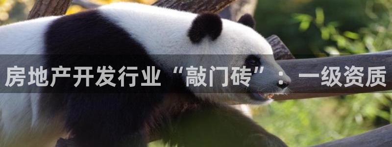永利金控控股有限公司