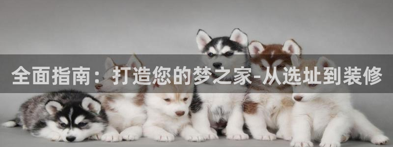 永利官网是什么