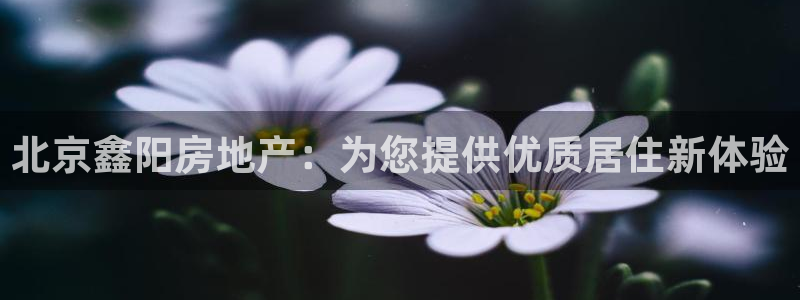 永利汇茶具怎么样